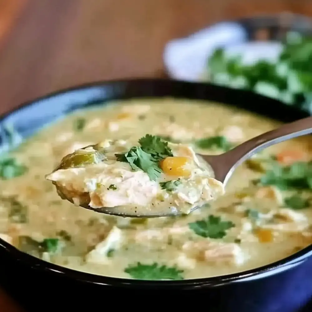 Crock Pot Green Enchilada Chicken Soup