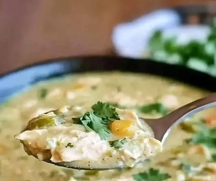 Crock Pot Green Enchilada Chicken Soup