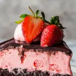 Strawberry Ice Cream Cake with Chocolate Ganache 3 Strawberry Ice Cream Cake with Chocolate Ganache