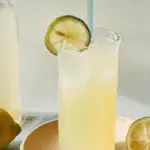 Homemade Ginger Ale 3 Homemade Ginger Ale